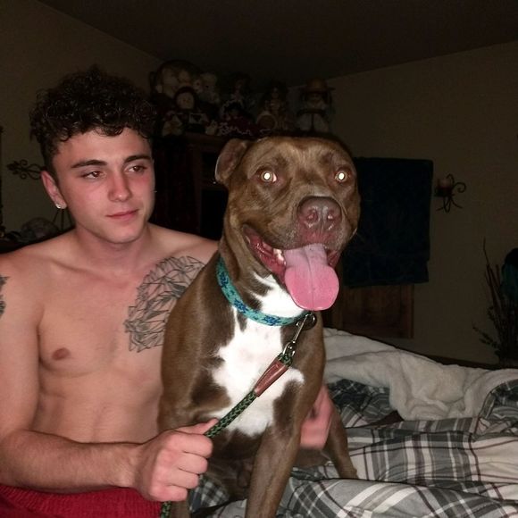 Meet your Posher, Andrew - Picture 1 of 1